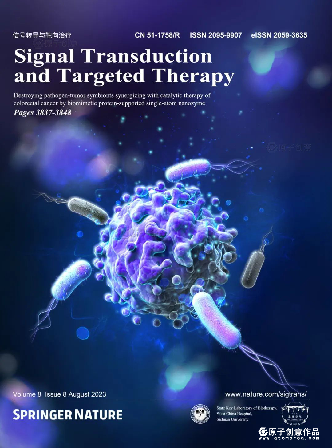 Signal Transduction And Targeted Therapy   6401 